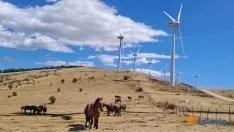 Foto 5 - Las Aldehuelas y el PEMA: escenarios ganadores del certamen de Solarig