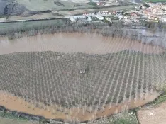 Estado del cauce en San Esteban de Gormaz. , Marcos de Marcos (IberianDrone).