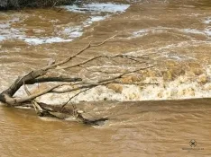 Estado del cauce en San Esteban de Gormaz. , Marcos de Marcos (IberianDrone).