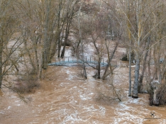 Estado del cauce en San Esteban de Gormaz. , Marcos de Marcos (IberianDrone).