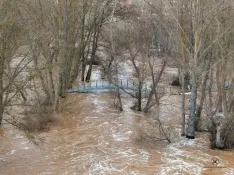Estado del cauce en San Esteban de Gormaz. , Marcos de Marcos (IberianDrone).