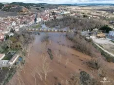 Estado del cauce en San Esteban de Gormaz. , Marcos de Marcos (IberianDrone).