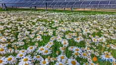 Foto 3 - Las Aldehuelas y el PEMA: escenarios ganadores del certamen de Solarig