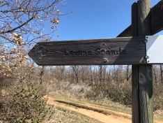 Foto 3 - Ruta: Las tres lagunas de Rabanera del Campo