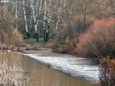 Imágenes del Duero a su paso por la capital soriana. /SN