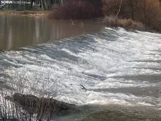 Imágenes del Duero a su paso por la capital soriana. /SN