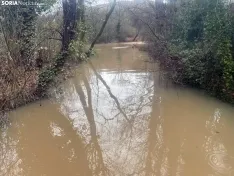 Imágenes del Duero a su paso por la capital soriana. /SN