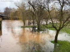 Una imagen del Duero en Garray hoy, aguas abajo de la unión con el Tera. /María Ferrer