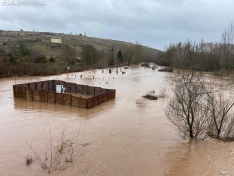 Una imagen del Duero en Garray hoy, aguas abajo de la unión con el Tera. /María Ferrer