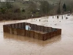Una imagen del Duero en Garray hoy, aguas abajo de la unión con el Tera. /María Ferrer