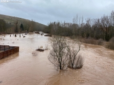 Una imagen del Duero en Garray hoy, aguas abajo de la unión con el Tera. /María Ferrer