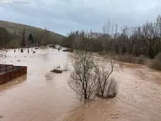 Una imagen del Duero en Garray hoy, aguas abajo de la unión con el Tera. /María Ferrer