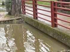 Foto 4 - Aumenta la preocupaci&oacute;n por posibles inundaciones en Soria: La Junta declara el nivel 2 ante el riesgo de las pr&oacute;ximas horas