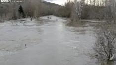 Una imagen en Garray, este sábado. /SN