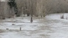Una imagen en Garray, este sábado. /SN