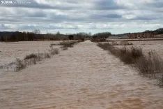 Una imagen de Langa de Duero este sábado. /María Ferrer