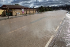 Una imagen de Langa de Duero este sábado. /María Ferrer