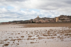 Una imagen de Langa de Duero este sábado. /María Ferrer