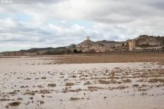 Una imagen de Langa de Duero este sábado. /María Ferrer