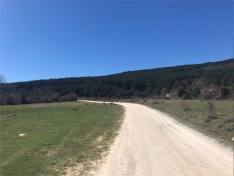 Foto 4 - Ruta: Las tres lagunas de Rabanera del Campo