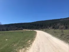 Foto 4 - Ruta: Las tres lagunas de Rabanera del Campo