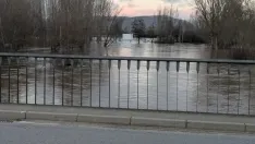 Distintas imágenes de Garray en la mañana de este jueves. SN