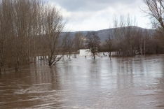 Bomberos de Soria y de Diputación intervienen en viviendas de Garray ante la crecida del Duero. María Ferrer