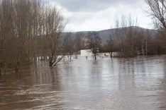 Bomberos de Soria y de Diputación intervienen en viviendas de Garray ante la crecida del Duero. María Ferrer