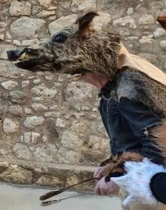 Distintas imágenes del Carnaval de Utrilla. SN