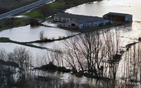 Castilla y León flexibiliza los requisitos de ayudas PAC por adversidades meteorológicas