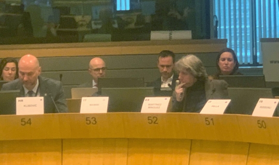 Carlos Martínez exige ante la UE blindar la autonomía del Fondo Social Europeo Plus