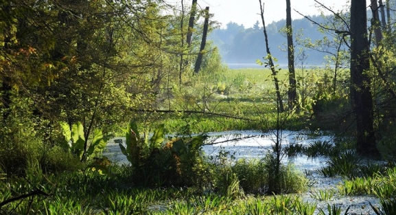 Inversión de 10M€ para restaurar humedales en Soria y CyL