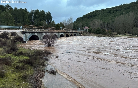 MINI GALERÍA | El agua se apodera del Cañón del Río Lobos e inunda Arganza