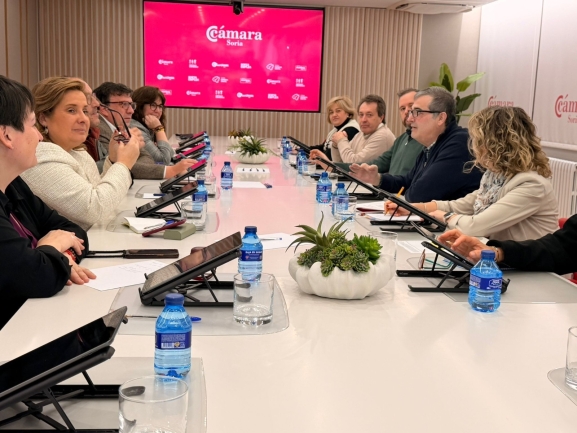 El PSOE de Soria pide vivienda y movilidad a la Junta