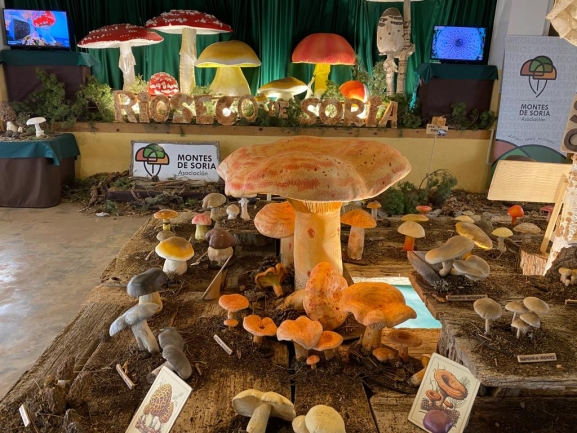 Exposiciones micológicas en Río Lobos y Laguna Negra hasta abril