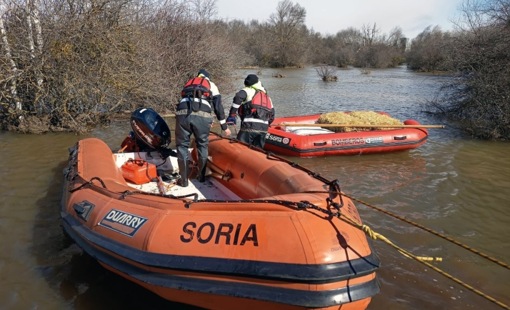 Bomberos de Soria llevan alimento a ganado aislado en Garray