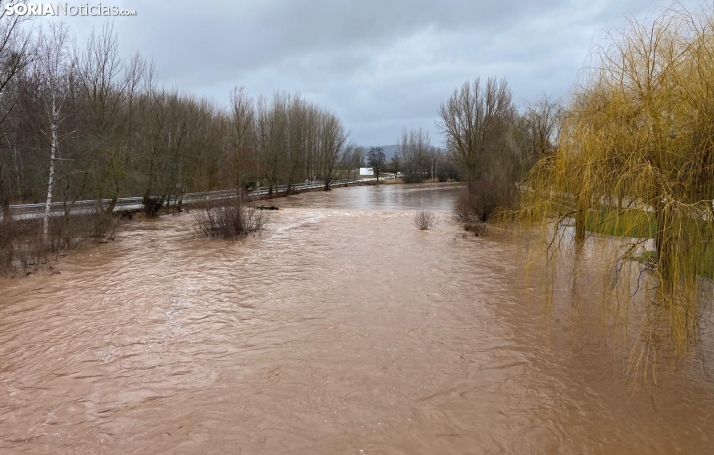 Una imagen del Duero en Garray hoy, aguas abajo de la unión con el Tera. /María Ferrer