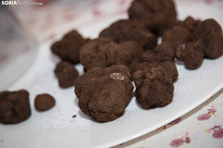 Cocinando con trufa 2026