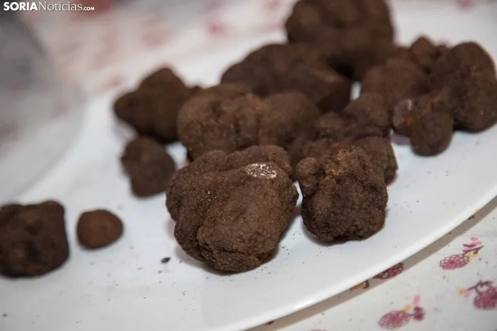 Cocinando con trufa 2026