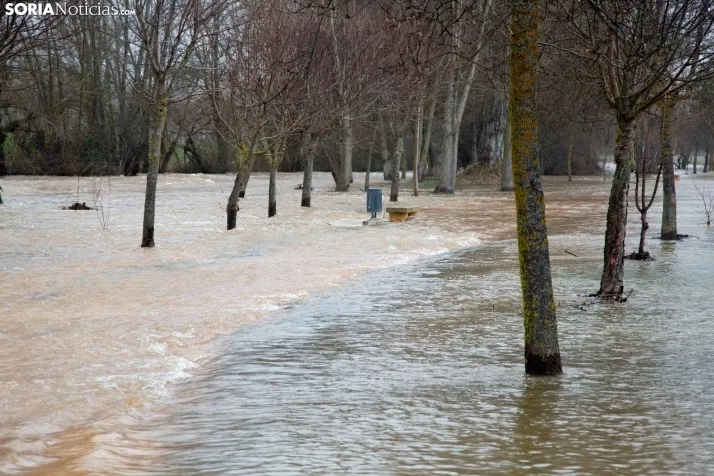 Crecidas en Ucero y Duero 11 de febrero 2026