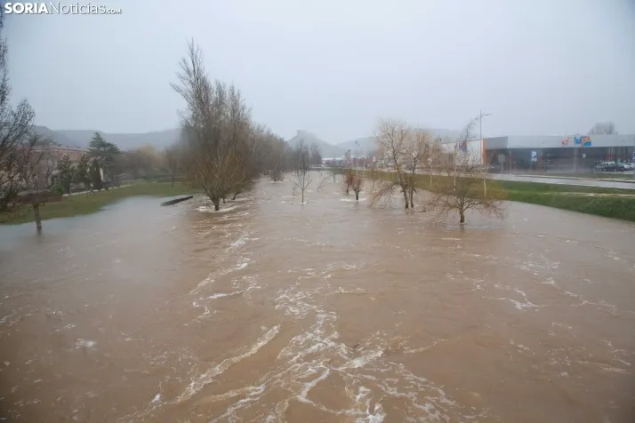 Crecidas en Ucero y Duero 11 de febrero 2026