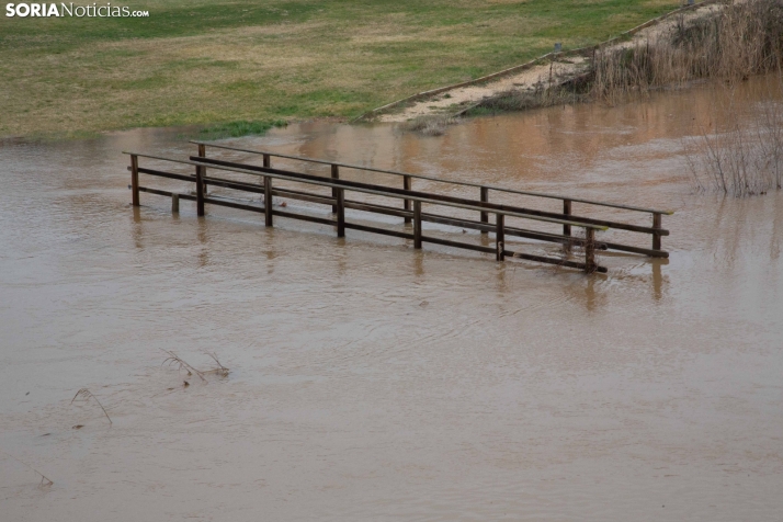 Crecidas en Ucero y Duero 11 de febrero 2026