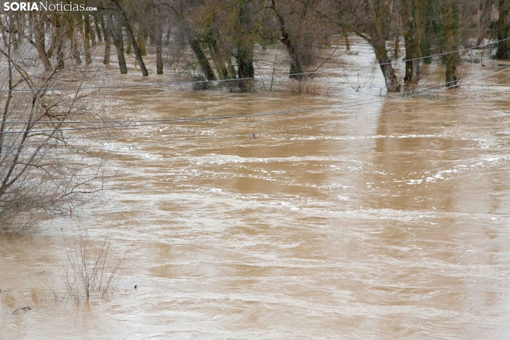 Crecidas en Ucero y Duero 11 de febrero 2026