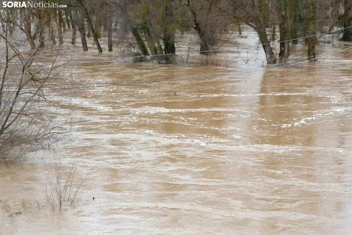 Crecidas en Ucero y Duero 11 de febrero 2026