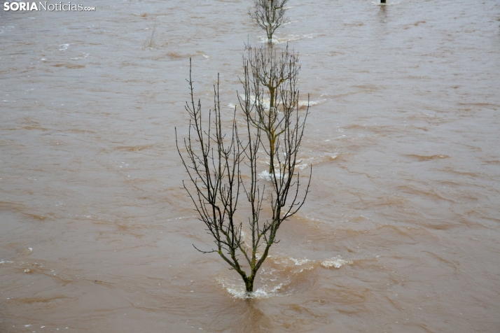 Crecidas en Ucero y Duero 11 de febrero 2026