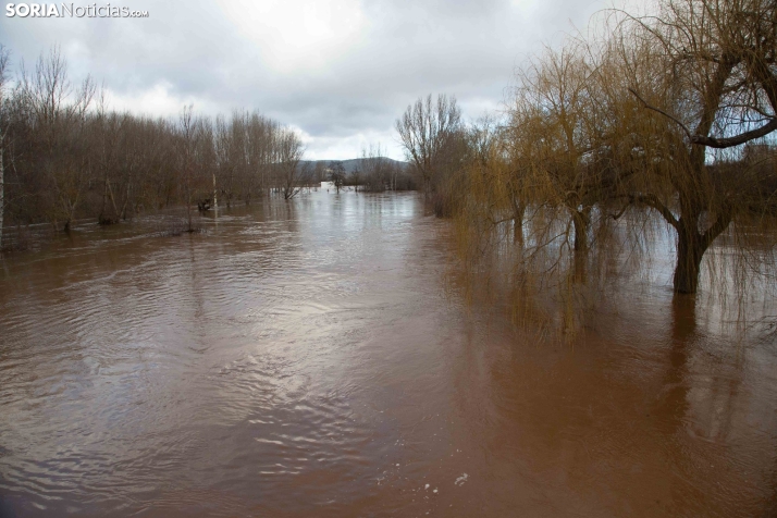 Crecida del Duero 12 febrero en Soria 
