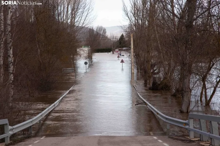 Crecida del Duero 12 febrero en Soria 
