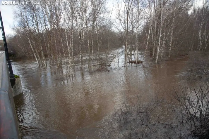 Crecida del Duero 12 febrero en Soria 