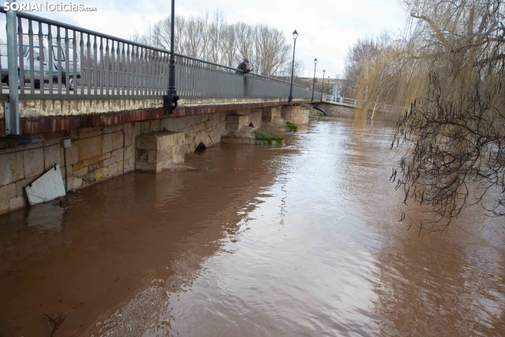Crecida del Duero 12 febrero en Soria 