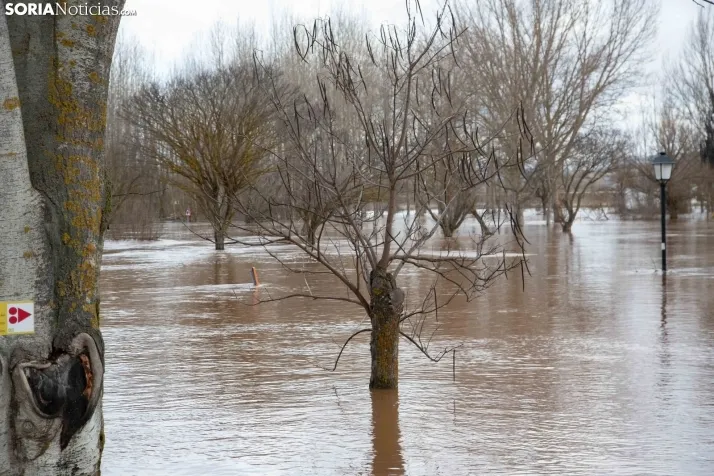 Crecida del Duero 12 febrero en Soria 